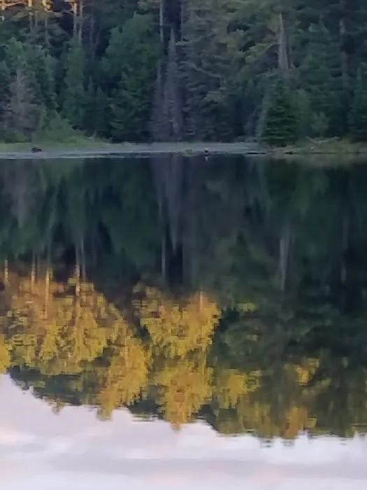 Lower Dam Lake Campground Picture 3