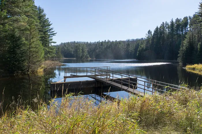 Lower Dam Lake Campground Picture 6