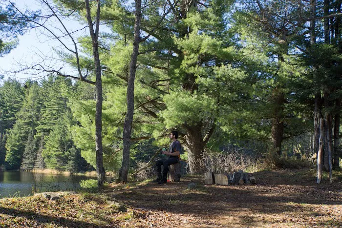 Lower Dam Lake Campground Picture 1