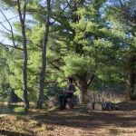 Lower Dam Lake Campground