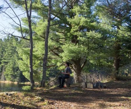 Lower Dam Lake Campground