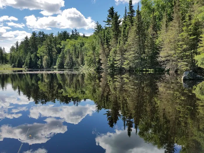 Lower Dam Lake Campground Picture 2