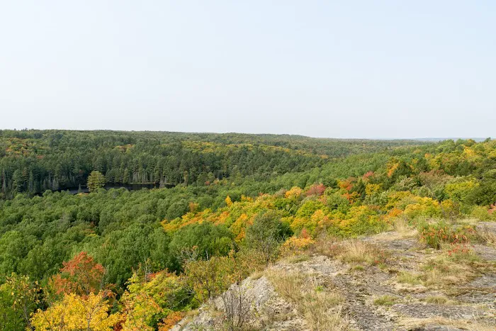 Lower Dam Lake Campground Picture 5