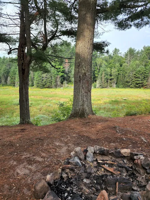 Lower Dam Lake Campground Picture 10