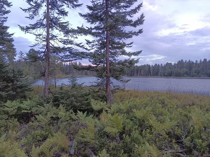 Big Lake State Forest Campground Picture 6