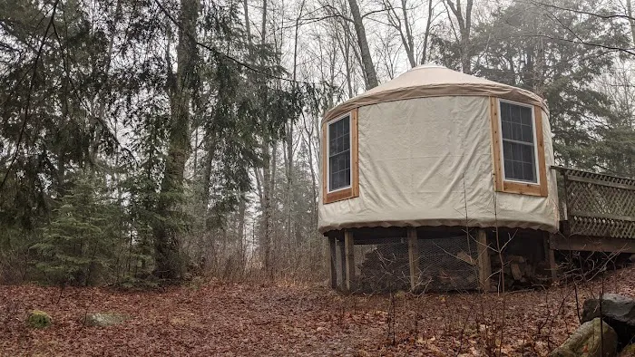 Teddy Lake Yurt Picture 3