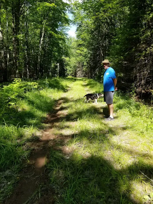 Sturgeon River Campground Picture 8