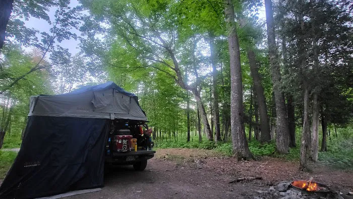 Sturgeon River Campground Picture 2