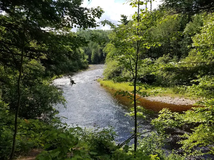 Sturgeon River Campground Picture 9