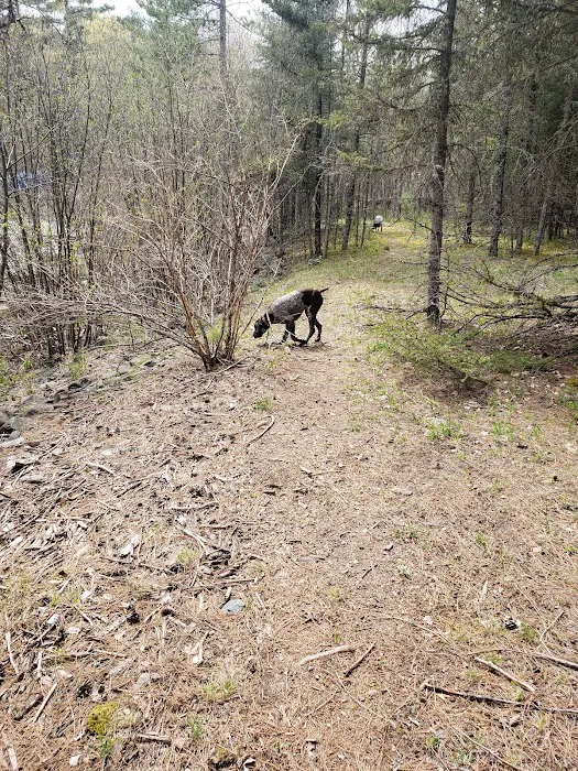 Sturgeon River Campground Picture 3