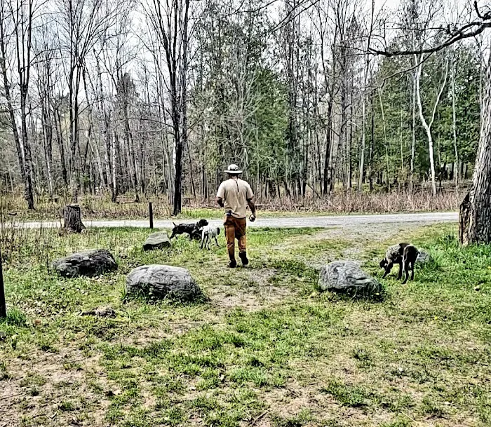 Sturgeon River Campground Picture 1