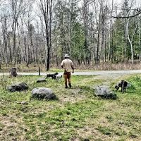 Sturgeon River Campground ico