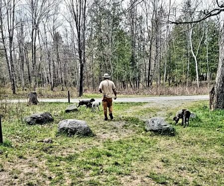 Sturgeon River Campground