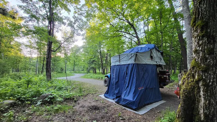 Sturgeon River Campground Picture 7