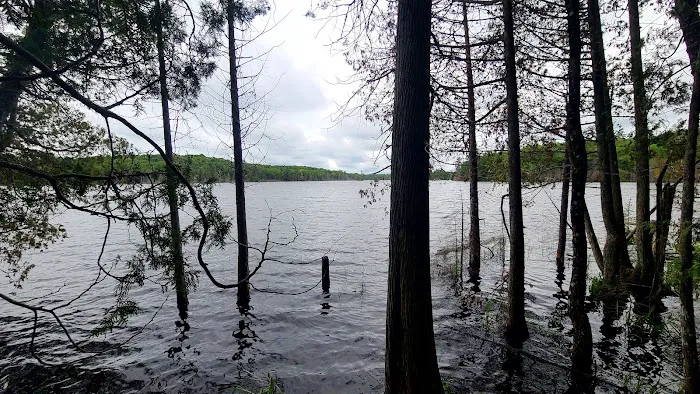 Keewaydin Lake Yurt Picture 3