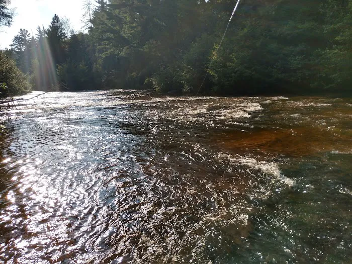 Sparrow Rapids Campground Picture 6