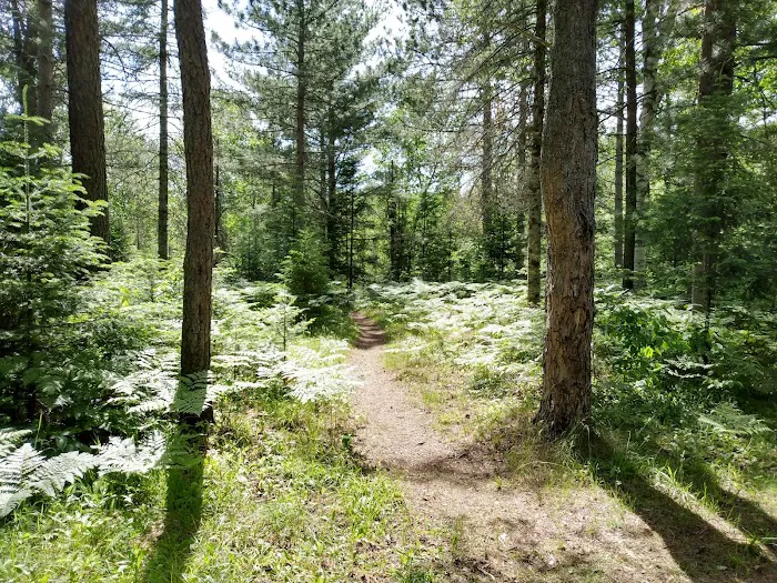 Sparrow Rapids Campground Picture 7