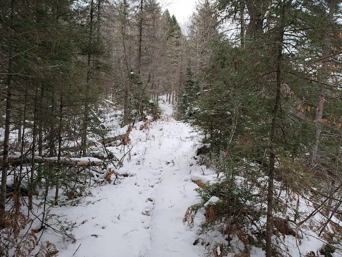 Sparrow Rapids Campground Picture 4