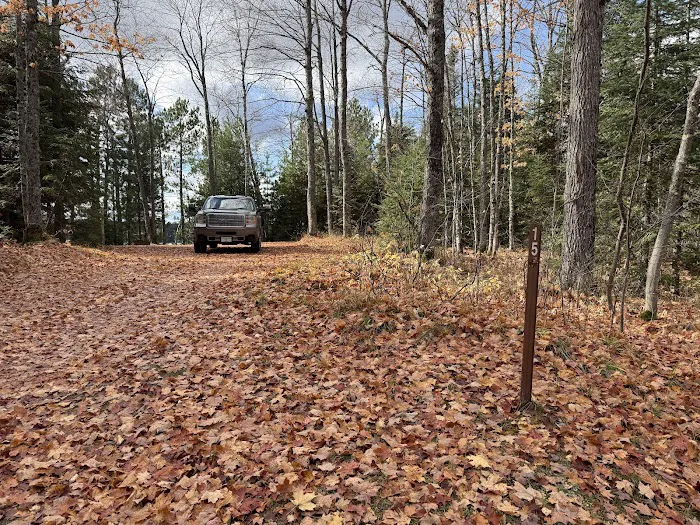Marion Lake Campground and Picnic Area Picture 8