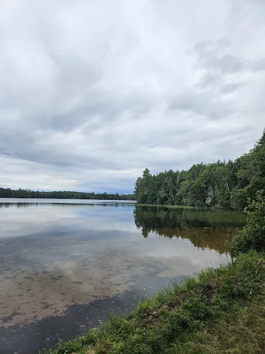 Marion Lake Group Site Picture 2