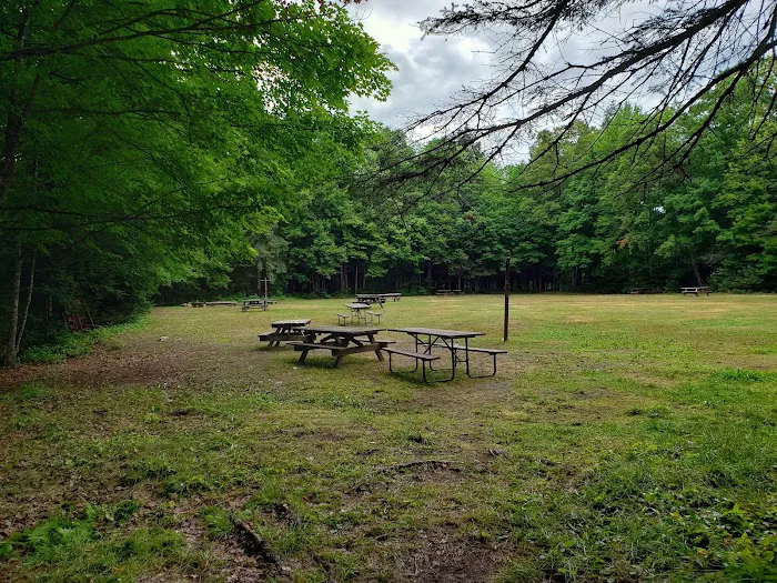 Marion Lake Group Site Picture 4