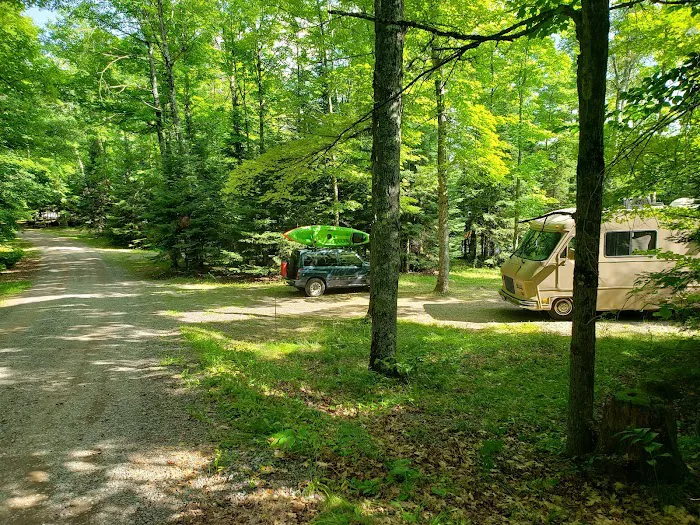Marion Lake Group Site Picture 7