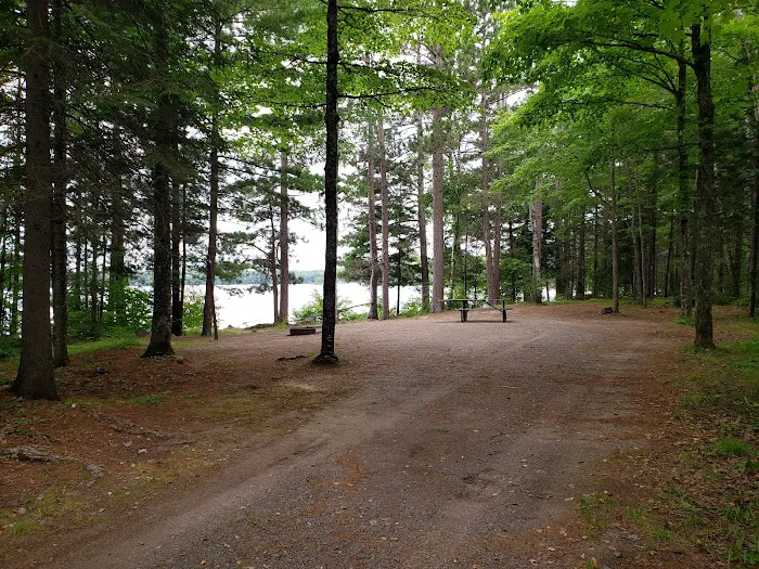 Marion Lake Group Site Picture 6