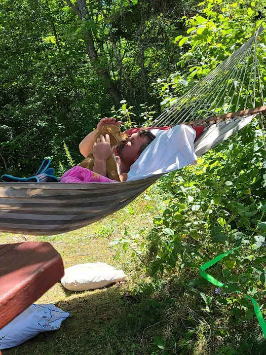 Bond Falls Flowage Camp I7 Picture 10