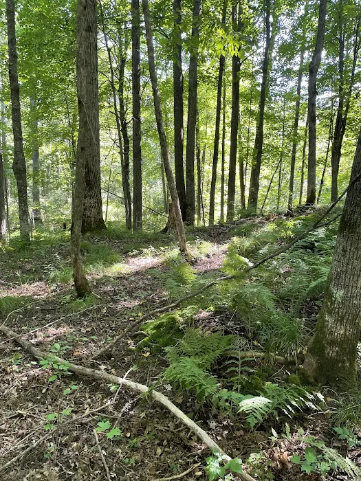 Lil’ Bit Campground Picture 5