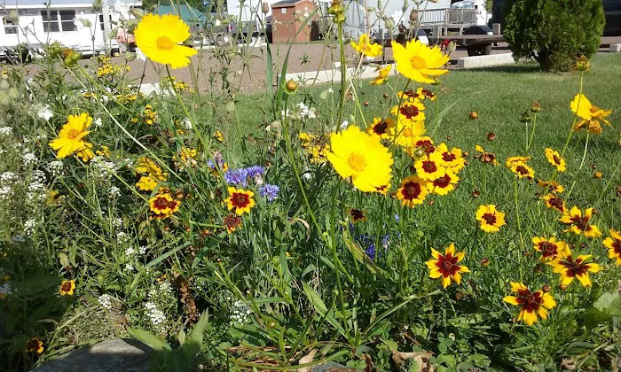 Birch Lakes RV Park Picture 6