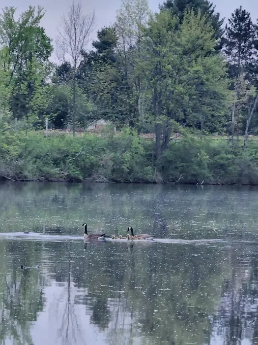 Doolittle Park Picture 6