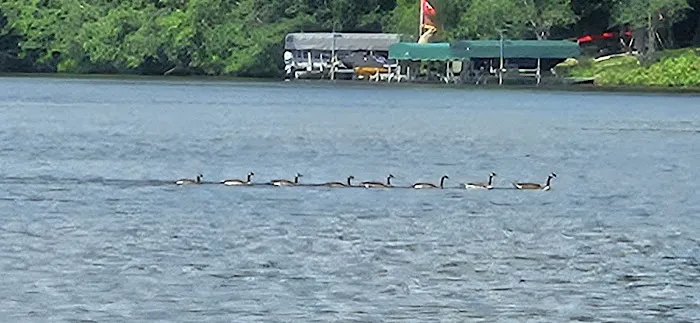 Doolittle Park Picture 2