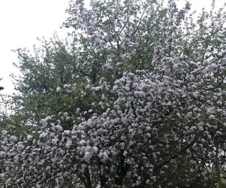 K & C Country Air Campground