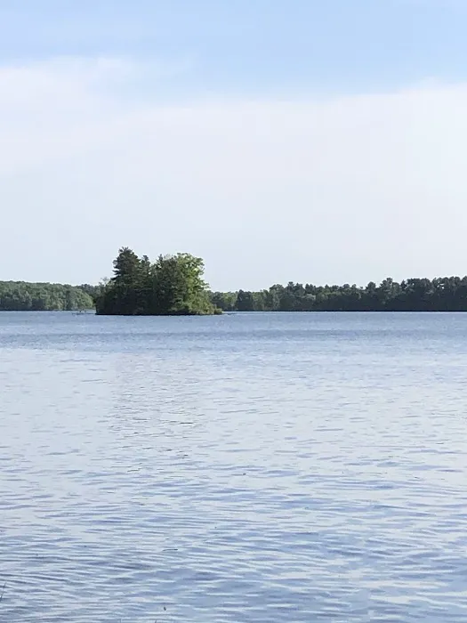 Long Lake East Side Campground Picture 2