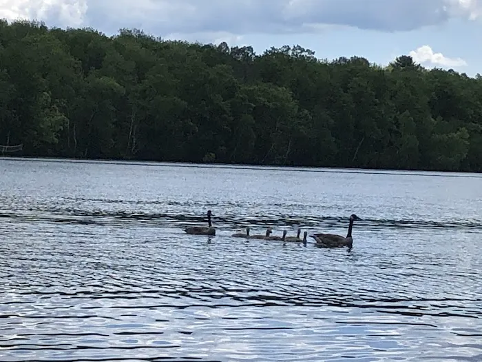 Long Lake East Side Campground Picture 3