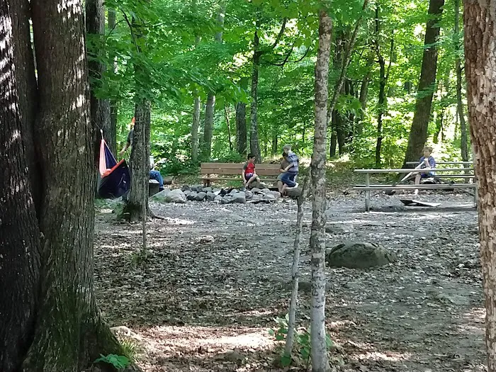 Quapaw Campsite Picture 1