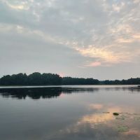 Northwood Shores ico