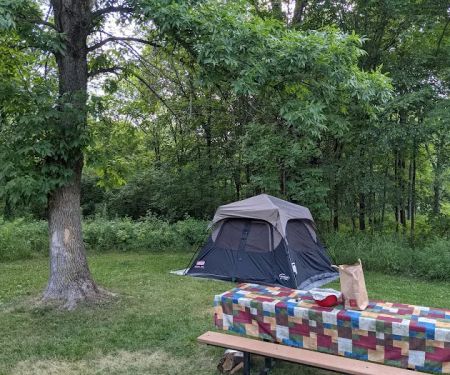 Rice Creek Campgrounds