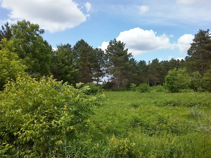 Riverway Campground Picture 5