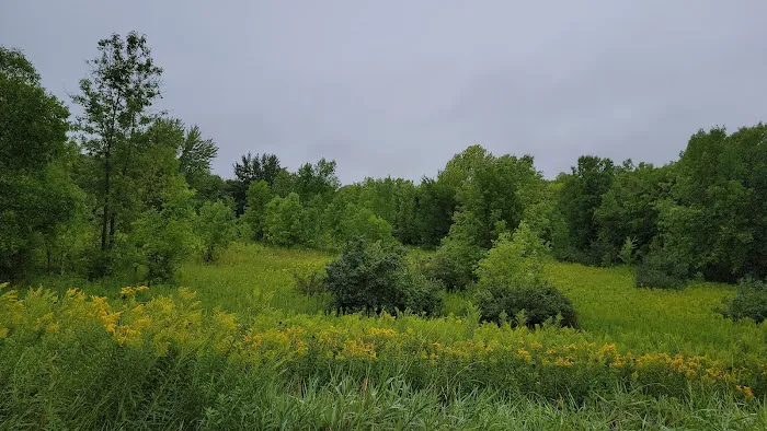 Lake Auburn Campground Picture 9