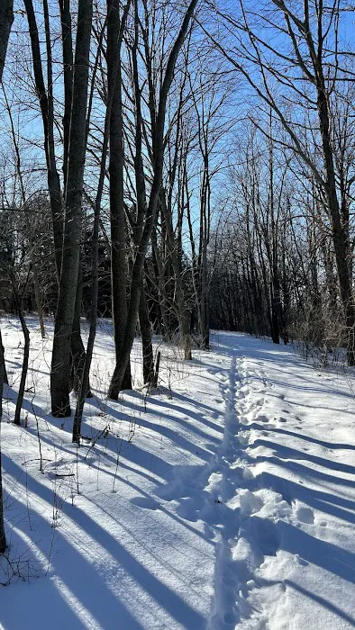 Katrina 1&2 Group Campsite - Baker Park Picture 7