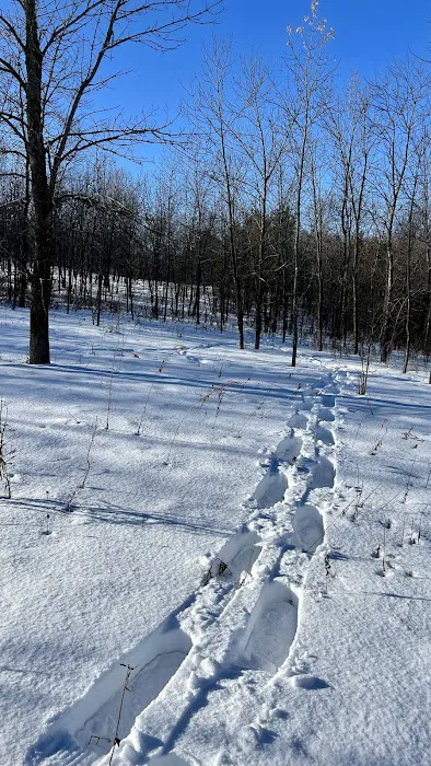 Katrina 1&2 Group Campsite - Baker Park Picture 6