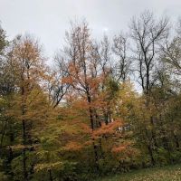 Baker Campground ico