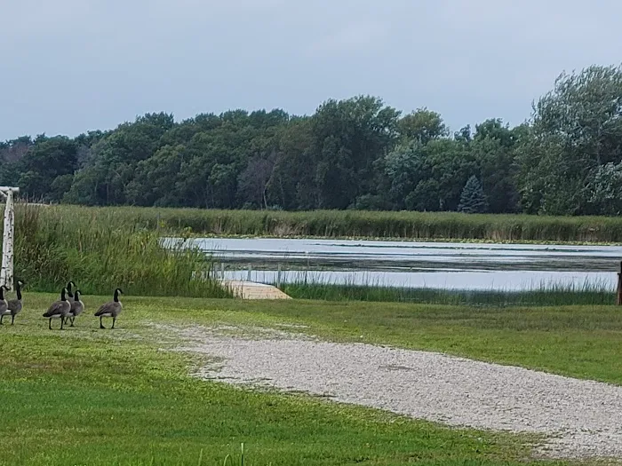 Ham Lake Resort Picture 7