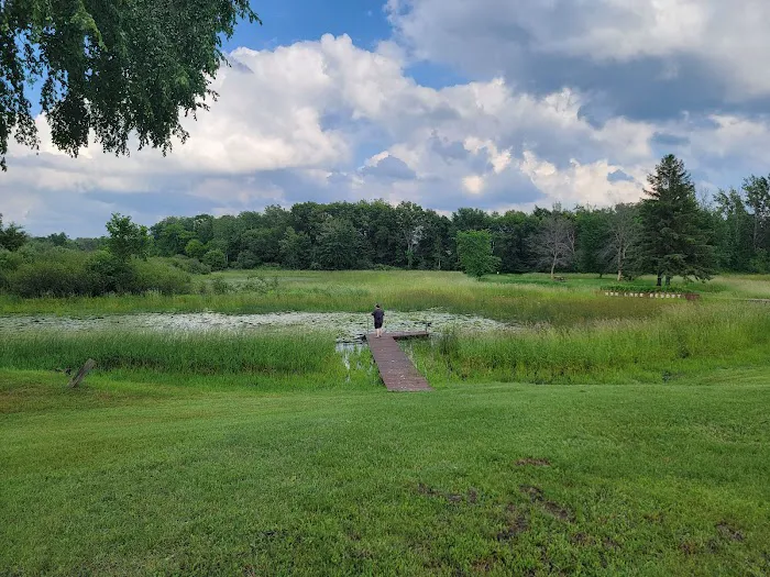 Ham Lake Resort Picture 3