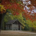 Allanson's Park Camping