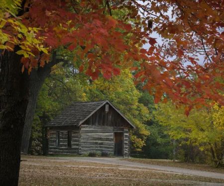 Allanson's Park Camping