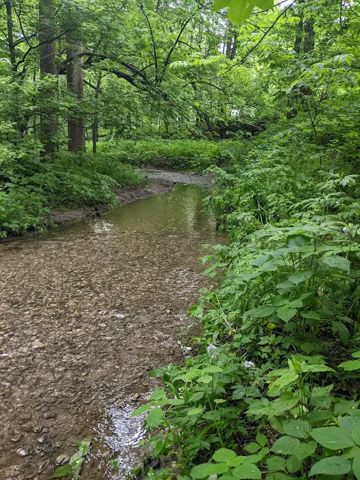 Peaceful Valley Campground Picture 7