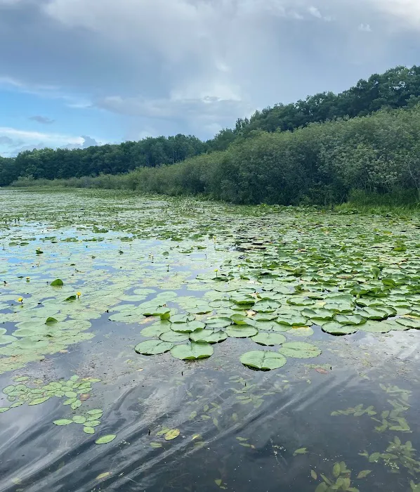 Camp Brigadoon Picture 6