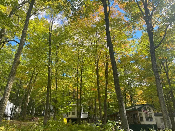 Camp Brigadoon Picture 7